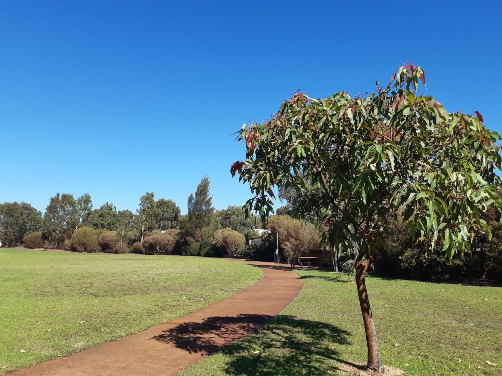 Ludlow Park