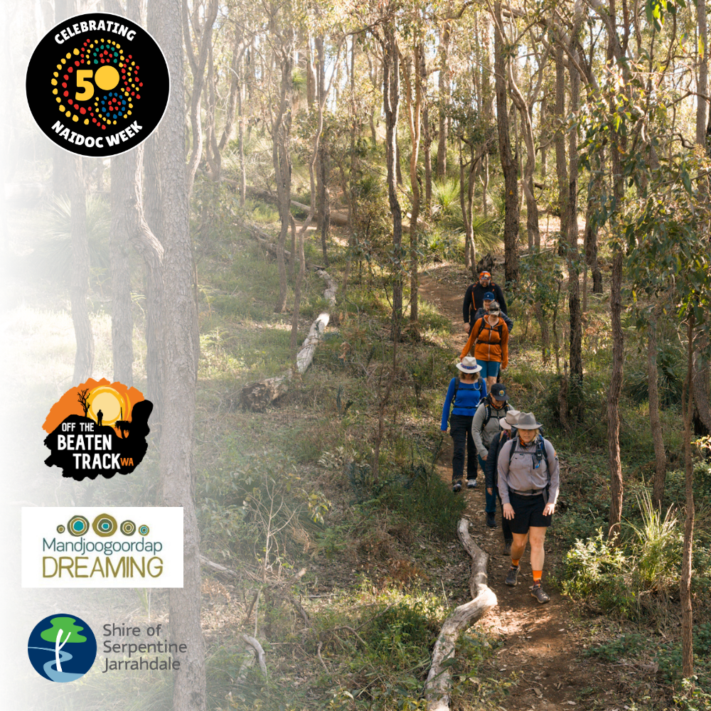 Image shows six adults walking on a path through native Australian bushland