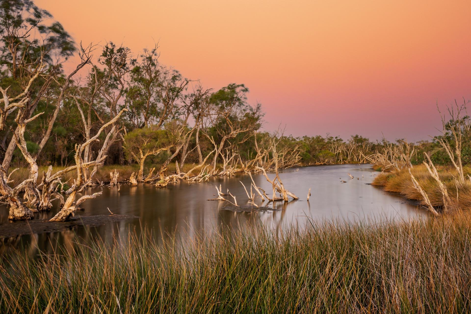 Coastline, Wetlands and Waterways Image