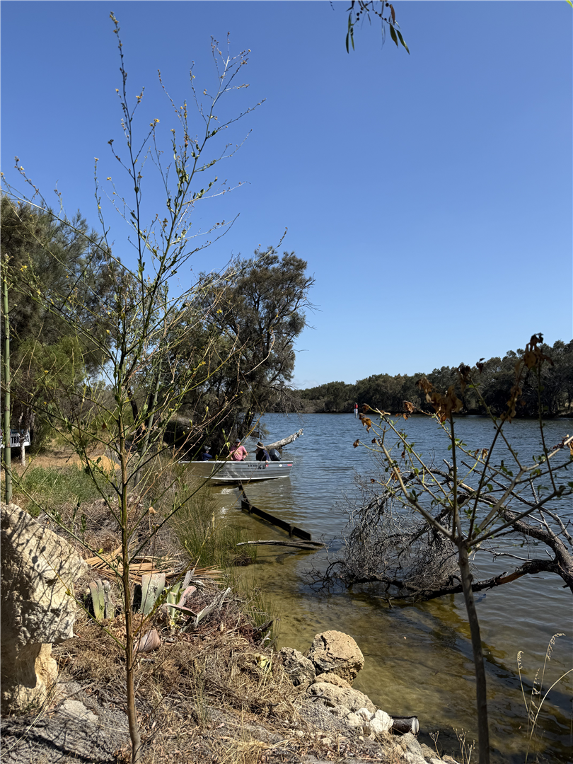 Ballee Island Image