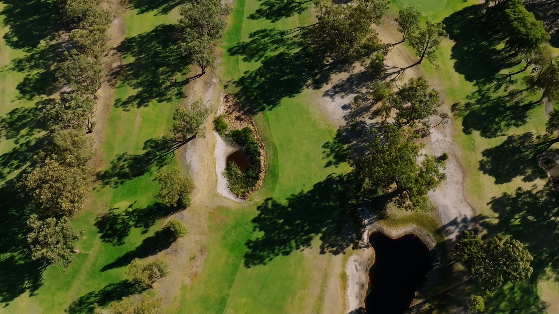 Consultation Image: Shire of Murray_Stock Footage_Pinjarra Golf