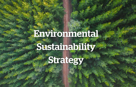 Consultation Image: sustainability