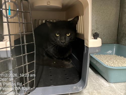 Photo for animal #89