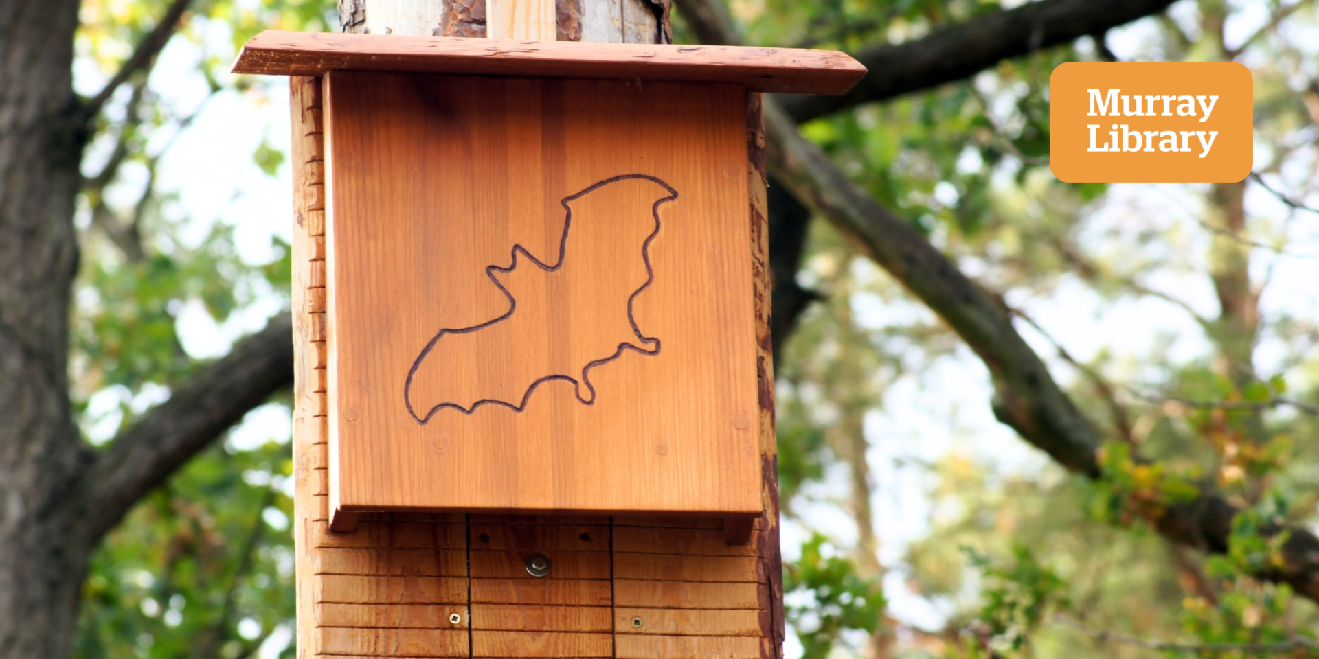 Family Nesting Box Workshop (Dwellingup)