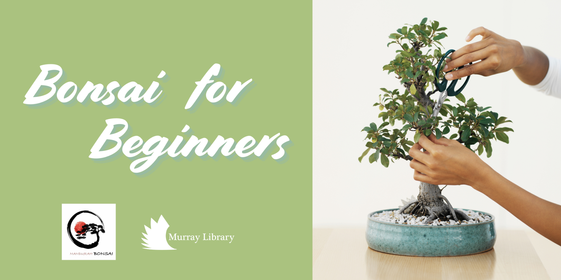 Bonsai for Beginners