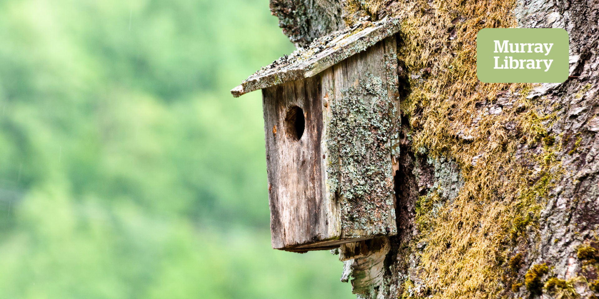 Family Nesting Box Workshop (Pinjarra)