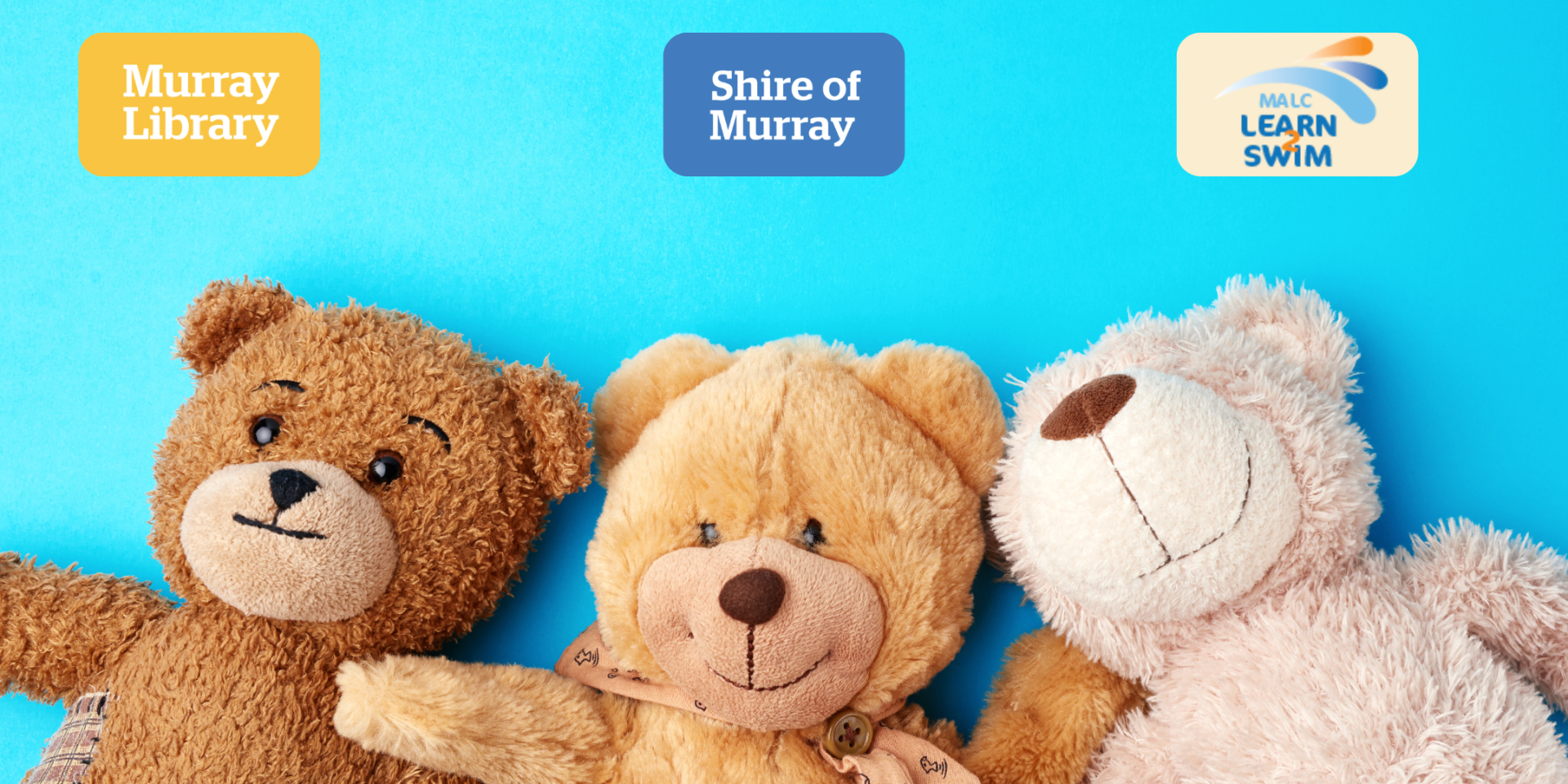 Teddy Bear's Sausage Sizzle