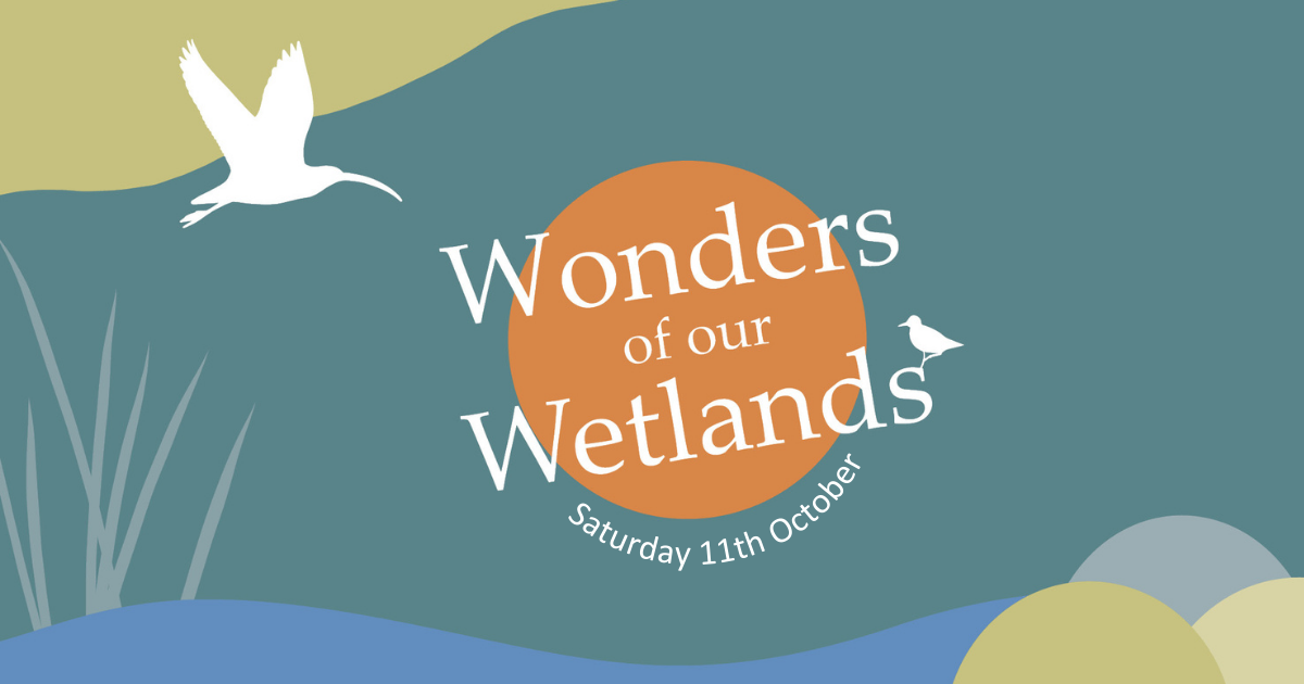 Wonders of Our Wetlands Festival