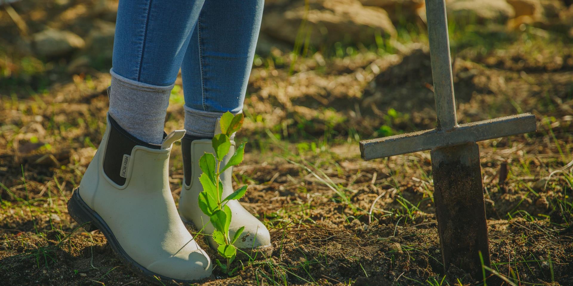 Planning a revegetation project for Black Cockatoos