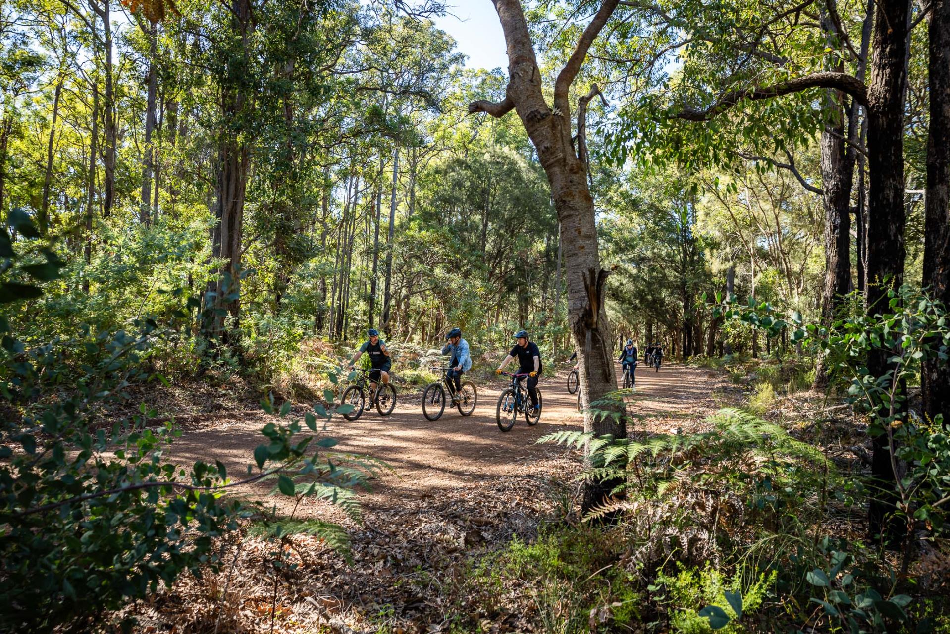 Dwellingup businesses experience trails from a visitor’s perspective