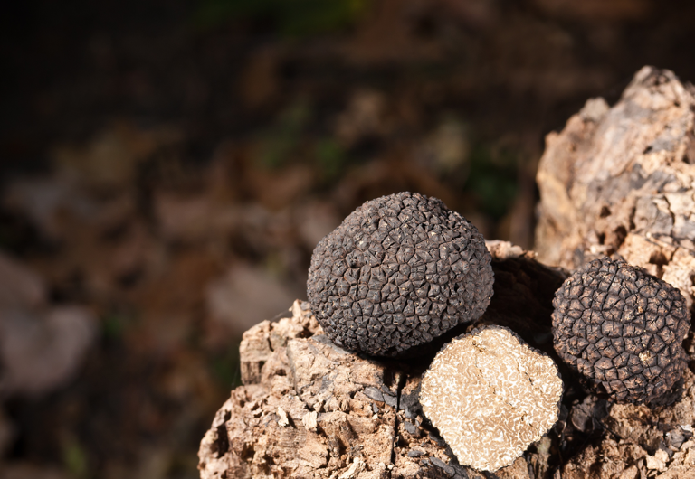 Redgum's Truffle Kafuffle